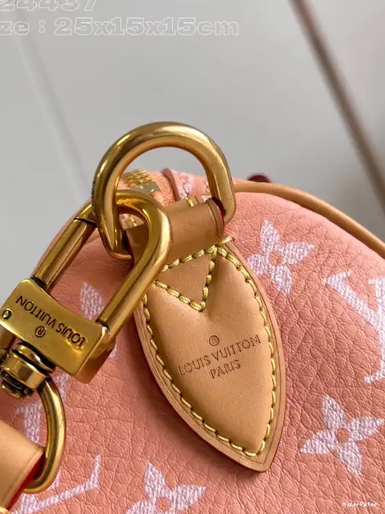 SPEEDY Louis Vuitton 25 0706